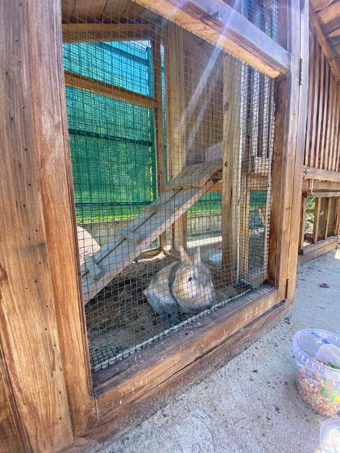 Apartament Agrokar Sobienie Jeziory Zewnętrze zdjęcie